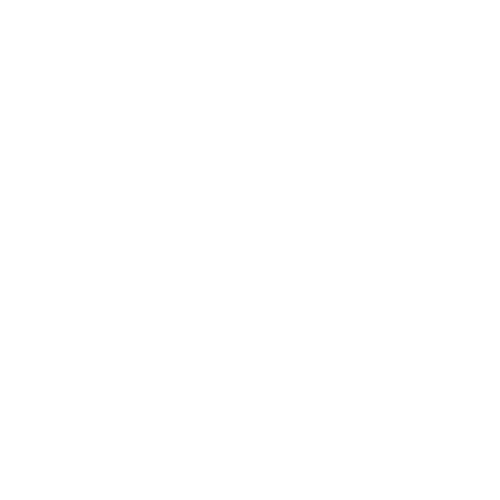 Strømberg & Fischer logo