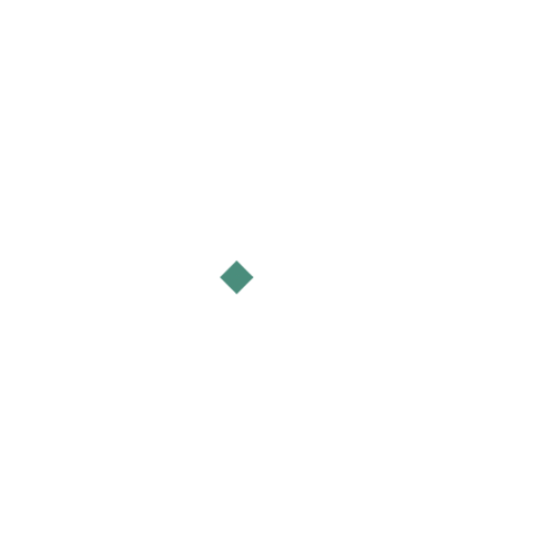 SS304 logo